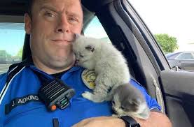 Police Officer Cuddles Up To Kittens He Rescued