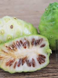 Image result for Morinda