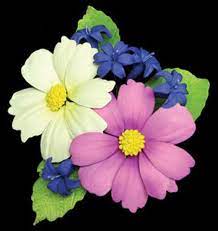 Hello And Welcome We Sincerely Apprecate You For Taking The Time To Look Around This Cosmos Spray Is Simply Beautif Gum Paste Flower Art Flower Spray