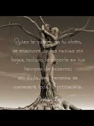 Muy Cierto Frases Para Reflexionar Vida Frases De Sabiduria Frases Sabias