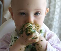 Baby Led Weaning