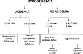 Glucose is the main source of energy for the body and the brain. Re Evaluating Transitional Neonatal Hypoglycemia Mechanism And Implications For Management The Journal Of Pediatrics