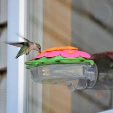 Any pollen heavy plant will honeysuckle is a great plant to attract pollinators, but if you are looking. Which Type Of Hummingbird Feeder Do I Need Natureswaybirds Com