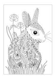 March Hare Coloring Book Club Bunny Coloring Pages Animal Coloring Pages Coloring Pages