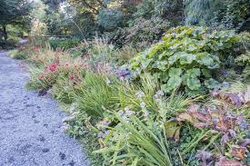 A great place to start selecting plants for your southern garden is by bee balm isn't just a beautiful, repeat flowering perennial plant, it is also an edible flower and a popular herb for making tea. Zone 8 Gardening Tips Plants That Grow Well In Zone 8
