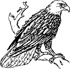 Bald Eagle Standing On The Branch Clip Art Description From Thetopfree Com I Searched For This On Bing Com Images Clip Art Pictures Eagle Drawing Clip Art Finally some public domain bird silhouettes: pinterest