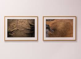 Bildergebnis für Maria Laet