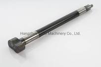 S-Camshaft with OEM Standard for America Market (2450A)