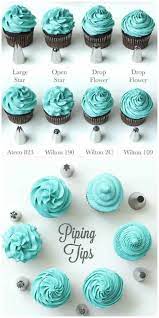 Cupcake Frosting Guide All The Best Tips And Tricks Cupcake Frosting Recipes Cake Decorating Icing Cake Decorating Piping
