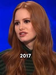 Chery Blossoms Long Island