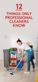 12 Cleaning Secrets Only The Pros Know Household Cleaning Tips Cleaning Household House Cleaning Tips