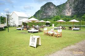 ผาม่านฝัน Cafe