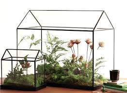 Forest Homes Products The Nonagon Tree Vase Glass Green House Indoor Greenhouse Garden Terrarium