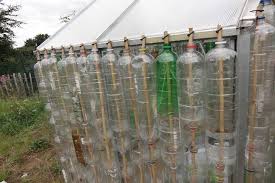 Diy sustainable building guide 4 eco bricks. Building A Bottle Greenhouse Rhs Campaign For School Gardening