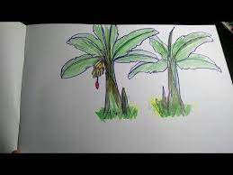 Maybe you would like to learn more about one of these? Gambar Mewarnai Pohon Pisang