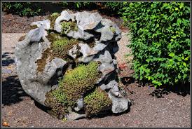 Er ist sozusagen die nachbildung einer kleinen alpenlandschaft in ihrem garten. Stein Garten Foto Bild Natur Pflanzen Steine Bilder Auf Fotocommunity