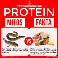 Keunikan adat perpatih negeri sembilan; Kkmalaysia On Twitter Ikan Haruan Dan Belut Penyembuh Luka Kedua Duanya Mempunyai Sumber Protein Yang Baik Untuk Mengganti Dan Membaiki Kerosakan Tisu Namun Sumber Protein Boleh Juga Didapati Daripada Makanan Lain Spt Kekacang