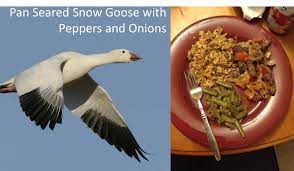 Pan Seared Snow Goose Breast With Peppers And Onions - Southbound Outdoors
