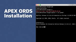 Ordonan a de urgen a guvernului nr. Let S Wreck This Together With Oracle Application Express 2017