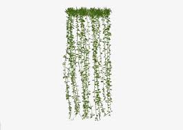 Cortina De Plantas Escale A Parede Plantas Imagem Png E Vetor Para Download Gratuito Hanging Plants Tree Photoshop Photoshop Illustration