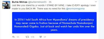 All this came shortly after minister gigaba made his first appearance as finance. Gigaba S Ex Nyatsi Buhle Mkhize Hits Back At Norma Calls Him A Very Black Frog The Citizen