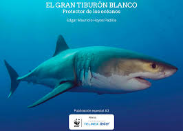 Una escapada en hidroavión a un arrecife de la costa de australia se convierte en una pesadilla para un grupo de jóvenes cuando descubren el cadáver de un ho. El Gran Tiburon Blanco Protector De Los Oceanos Pelagios Kakunja