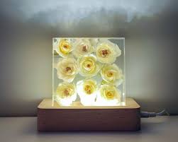 Real White Rose Night Light, Real Rose Lamp, Real Rose Resin Block, Resin  Paperweight, Gift for Her, Home Decor, Gift for Mom