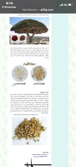 pin by localishabaya localishabaya on مستشفى security disease