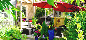 By privacy plants we mean any type of plant which can be used to create dividers or to gain privacy for decks and any space in general. 5 Ways To Add Privacy To Your Patio