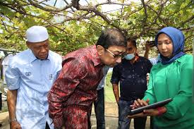 Towards better acceptance of malaysian cocoa. Kkmm Category Yb Timbalan Menteri Meninjau Perkembangan Projek Pertanian Pintar Di Institut Penyelidikan Dan Kemajuan Pertanian Malaysia Mardi Yang Diaktifkan Oleh Maxis Di Langkawi Kedah Pada 25 Julai 2020 Image