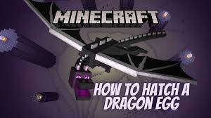 Certain aspects of pokémon go, like hatching eggs, require a great deal of walking, running, or biking. How To Hatch A Dragon Egg In Minecraft Steps For How To Re Summon Or Respawn The Ender Dragon Here