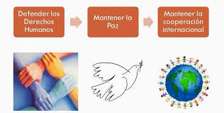 Este es el organismo principal donde se toman las decisiones y se representa la asamblea en su totalidad, siendo el responsable de respaldar y sostener los principios de esta organización a través de sus recomendaciones y políticas. Onu Organizacion De Las Naciones Unidas Que Es La Onu
