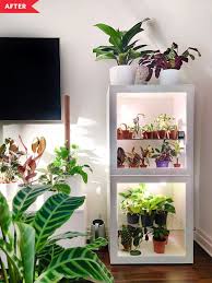 One diy hack in particular, featuring glass cabinets from ikea, has taken over social media feeds. Ikea Hack Indoor Greenhouse Apartment Therapy
