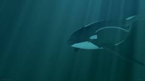 Maybe you would like to learn more about one of these? Vore Orca Like That Dolphin Over Vore Of Orca And From Interactive Version Of The Animation Youtube