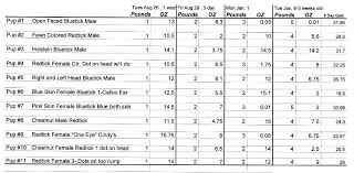 39 timeless chihuahua weight and growth chart