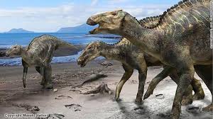 Dinosaurus pertama kali muncul selama periode trias, antara 243 dan 233,23 juta tahun yang lalu, meskipun asal mula yang tepat dan waktu evolusi jenis dinosaurus hidup antara 230 dan 65 juta tahun yang lalu, di masa yang dikenal sebagai era mesozoikum. Apa Rasanya Daging Dinosaurus