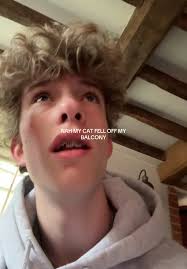 Cat Falling Off Hotel