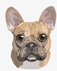 Bugg (pug & boston terrier mix). Image Library Stock French Toy Boston Terrier Pug Transprent French Bulldog Cartoon Png Png Image Transparent Png Free Download On Seekpng