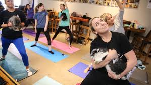 Learn asana poses, explore body alignment, develop strength, increase flexibility and balance in a supportive nourishing environment. Yoga In Indianapolis Where To Find Classes With Goats Wine Dogs