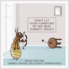 Treatment with internationally certified pest control chemicals. Termite Control In Noida Anti Termite Treatment Noida