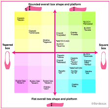 56 Faithful Pointe Shoes Fitting Guide