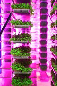 Vertical growing has been known to more than double the amount of space available for cultivation compared to horizontal growing. 18 Vertical Farming Led Grow Light For Vegetable Ideas