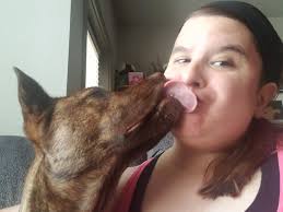 It's good to see MMT'S Tesi Niu back with the Dolphins 🐬