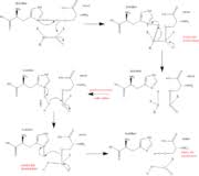 Investigate factors which affect the speed of a chemical reaction and calculate the time taken for the reaction to occur in national 5 chemistry. Trypsin Proteopedia Life In 3d