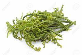 See what pucuk paku (pucukpaku585) has discovered on pinterest, the world's biggest collection of ideas. Edible Bracken Pucuk Paku Stock Photo Picture And Royalty Free Image Image 15194384
