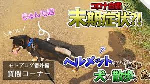 奇行種 ヘルメットを被ったまま犬の散歩をするバイク乗り 自粛の末期症状 モトブログ番外編 質問コーナー youtube 犬 散歩 末期 見習い