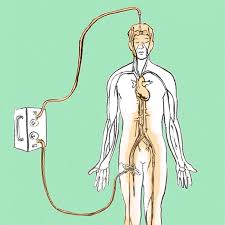 How long does embalming last after burial? In The First Step Of The Embalming Process The Body Is Perfused With Download Scientific Diagram