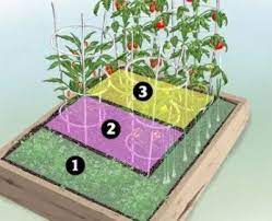 Some are better suited to making salsa tomatoes red, ripe tomatoes are the best base for your salsa, meaning you have a couple options to choose from: How To Make A Homemade Salsa Garden Outer Banks Ace