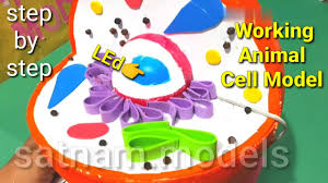 This is a model of an animal cell, enjoy it standards ngss ccss overview and background model of an animal cell lesson plan and activity discover the parts of a cell materials needed just print it !!! Animal Cell Model 3d Animal Call Project Youtube