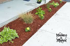 If you are direct sowing seeds, though, you will have to wait until the seeds have germinated and the plants are a few inches high before applying it. Front Garden Plant Refresh Madness Method